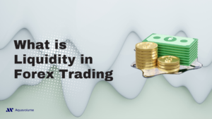 Liquidity in Forex Trading